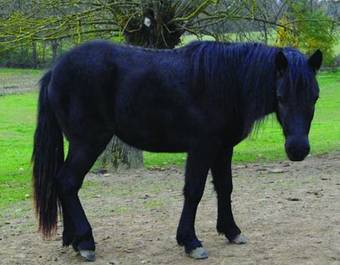 Bed & Breakfast Domaine De Belcayre
