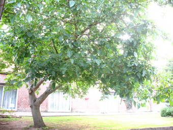 Bed & Breakfast Le Clos Des Flandres