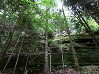 Hotel Logis H�tel Notre-dame