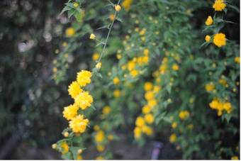 Bed & Breakfast Maison Le Retour