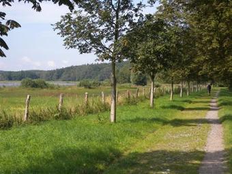 Apartment Bergen Auf Rugen 3