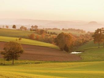 Holiday Home La Charmante Calvinet