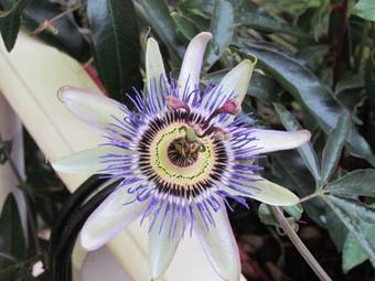 Hotel La Ch�tellenie