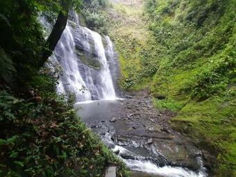 Finca Las Mar�as 2