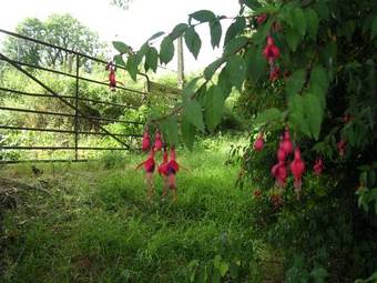 Findus House, Farmhouse Bed & Breakfast