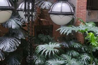 Apartamento 204 Acogedor Y Central Apto En El Parque De La 93