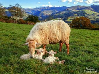 Apartamento Larrazu Agroturismo Baztan