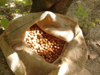 Agroturismo Agriturismo Cascina Monchiero