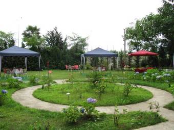 Grand Cavusoglu Hotel