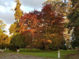 Hotel Boutique Villa Del Marqu�s