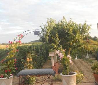 Bed & Breakfast La Nouste Maisoun