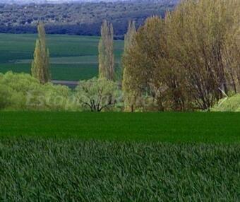 Blas�n Conde De Castro