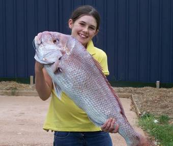 Discovery Holiday Parks - Whyalla Foreshore