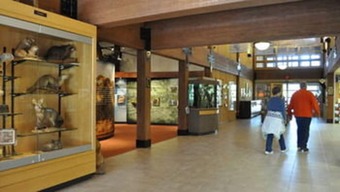 Hotel Starved Rock Lodge & Conference Center