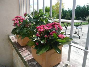 Hostal Ecole De Mathuna De Marigny Brizay