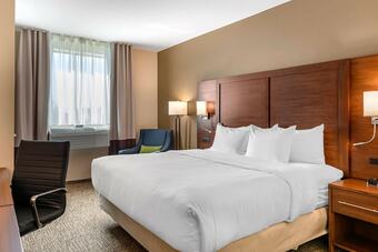 Hotel Comfort Inn & Suites Clarkston Pine Knob Area