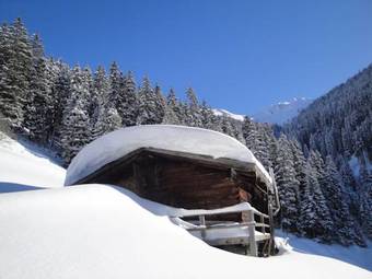 Apartamento Appartementhaus Eberharter