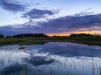 Bed & Breakfast Klokkehoej
