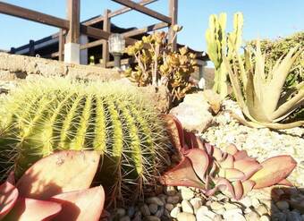 Hotel Cortijo El Para�so