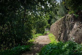 Bed & Breakfast 7 Pisos Casa Rural De Pueblo