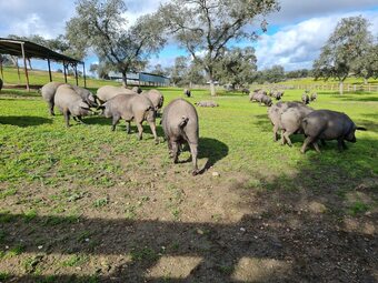 Hotel Rural Finca Barral