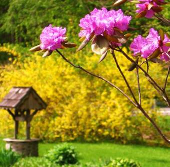 Motel Berkshire Hills Country Inn