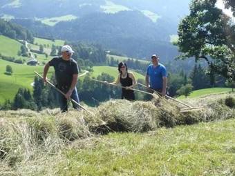 Posada Hotel & Alpengasthof Pinzgerhof