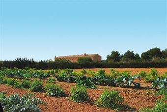 Agroturismo Son Terrades