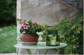 Agroturismo Casa Aspr�n