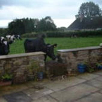 Bed & Breakfast Greenbank Farmhouse