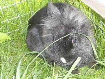 Agroturismo B�hlbauernhof