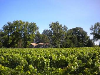 Bed & Breakfast Vineyard Villa