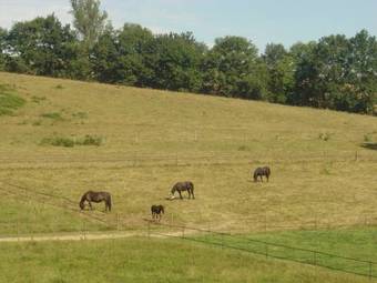 Bed & Breakfast Domaine Du Val De Soux
