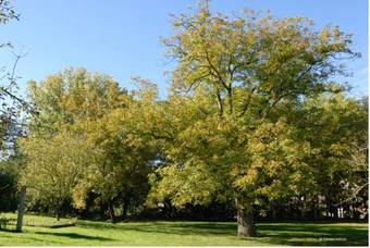 Hotel Auberge Saint Walfrid