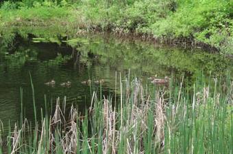 Bed & Breakfast King Hill Inn & Kitchen