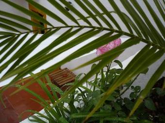 Hostal Const�ncia Guest House