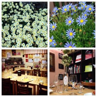 Hostal Azienda Agricola Vesevus - Sorrentino Vini