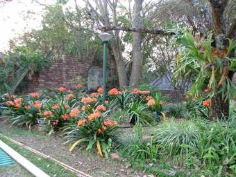 Hostal Casa Marcello