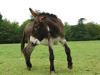 Hotel Ch�teau De Razay