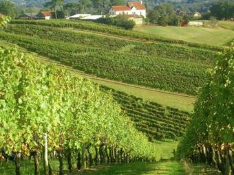 Villa Pr�s Du Lac Dans Le Gers