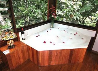 Lodge The Canopy Rainforest Treehouses & Wildlife Sanctuary