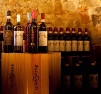 Hotel Villa Mangiacane