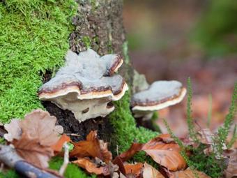 Holiday Home Am Steinberg Langenbach