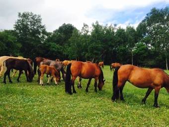 Agroturismo Mohe Yuan Ju Hostel