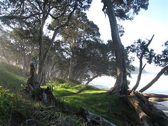 Bed & Breakfast Kaimai Country Lodge