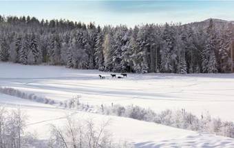 Holiday Home Fyresdal Hauggrend II