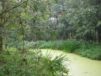 Agroturismo Petrus Wittebrood Hoeve
