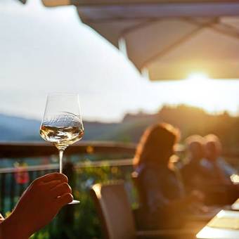 Hotel Gut P�ssnitzberg