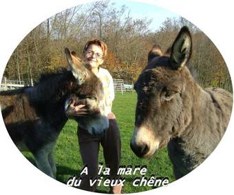 Hostal A La Mare Du Vieux Ch�ne