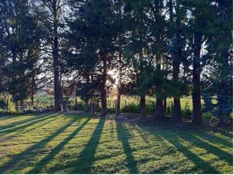 Apartamentos Monica Di Sorbo